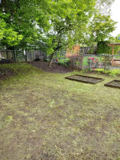 An open garden area surrounds raised beds beneath a mature tree, with scattered clippings still on the ground.