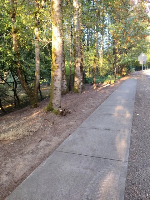 The ground beside a wooded sidewalk has been cleared back, exposing soil around the tree trunks.